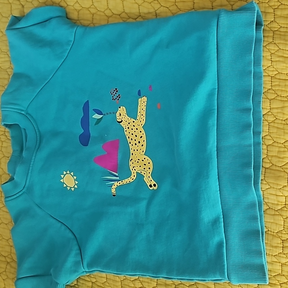 Hanna Anderson swetshirt/tee